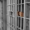 Tidligere indsatte forklarer, hvad der sker med pædofile i fængslerne