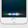 Siri er nøglen til musik fra HomePod - 6 ting du skal vide om Apple HomePod