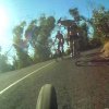 Kænguru saboterer cykelløb i Australien