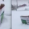 Legende laver sin egen sneplov ud af en papkasse og en havetraktor