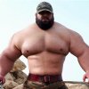 Den brasilianske Hulk har accepteret MMA-kamp mod den iranske Hulk