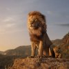 Traileren til live-action udgaven af Løvernes Konge er landet