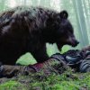 Mand har efter sigende overlevet en måned på sin egen urin, efter bjørneangreb