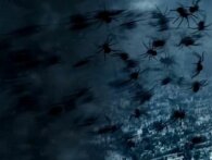 Glem Sharknado: En ny kogerfilm om edderkopper i tornadoer er på vej, Arachnado