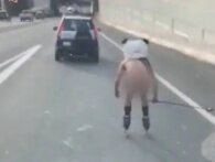Nøgen mand iført pandamaske rullede på rulleskøjter langs motorvejen