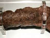 Verdens største menneskeskabte afføring er 20 cm og kan ses på et museum