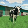 Farming Simulator 22 - Snerydning, træfældning, flugtplukkere: Farming Simulator 22 gør landmandsoplevelsen større og med bedre grafik!