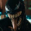 Foto: Sony Pictures, Marvel - Venom 2-instruktør: Mødet med Spider-Man og Venom kommer selvfølgelig til at ske 