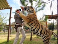 Tiger King 2: Officiel Trailer