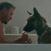 Foto: MGM "Dog" - Channing Tatums instruktørdebut Dog er en roadtrip-film med en hund