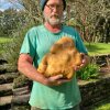 Så er der dømt fritter: Verdens største kartoffel "Doug" vejer 7,9 kilo