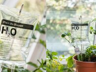 Nu kan man købe drop til stueplanter: Til dig, der ikke kan holde stueplanter i live