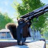 foto:  Steam "Daniel DeEntremont" - Nyt bizart spil lader dig være et egern med en håndpistol