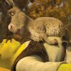 Foto: DreamWorks "Shrek" - Eddie Murphy er mere end klar på ny Shrek-film eller solo-film med Æsel