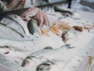 Bramfri fiskehandler skovler kunder ind med geniale, ubehøvlede videoer på Instagram