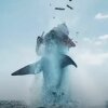 Foto: Paramount - Glem hjernen og sæt popcornene over: første trailer til hajgyseren The Black Demon er landet