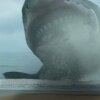 Foto: The Asylum "Megalodon: The Frenzy" - Meg-hajen har fået en Sharknado-makeover: Se første trailer til Megalodon The Frenzy