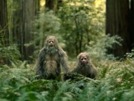 Urin, blod og opkast: Voldsom bizar film viser Bigfoot-familiens liv