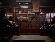 Cowboy Cartel fortæller historien om et af Mexicos mest brutale kartellers hvidvaskning i hestevæddeløb