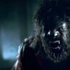 Foto: Blumhouse "Wolf Man" - Blumhouse er på trapperne med nyt take varulvegyset i første trailer til Wolf Man