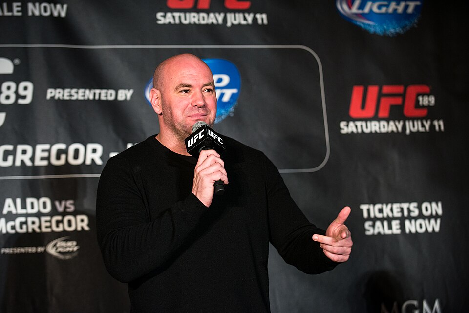 Dana White langer ud efter Jake og Logan Paul: “Kæmp mod nogen på jeres egen størrelse”
