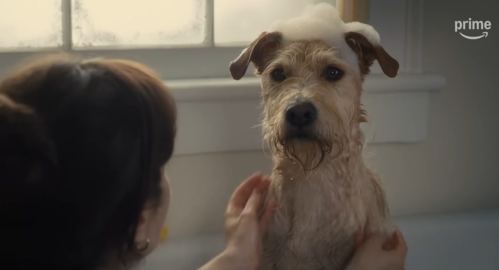 Årets tåreperser på julefronten? Mød den deprimerede hund i første trailer til Merv