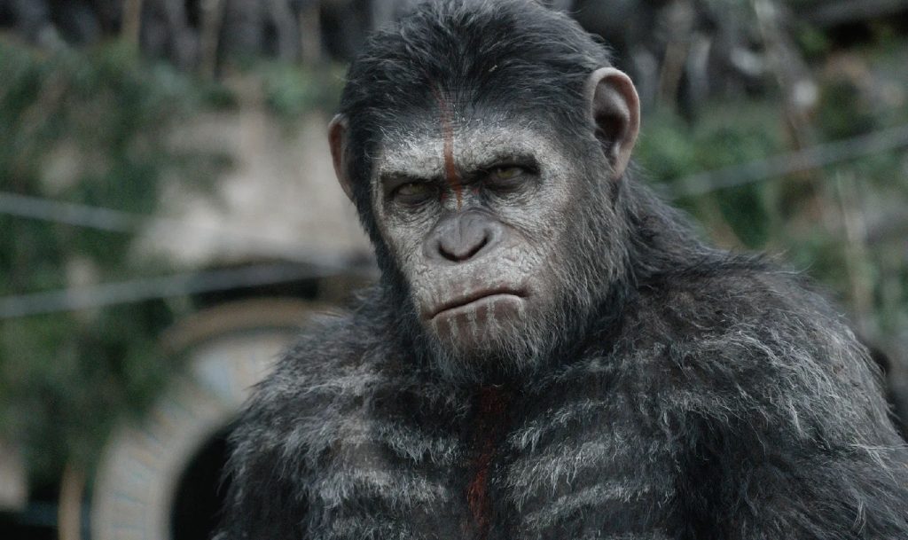 Ny Planet of the Apes-film er på vej – og det bliver endnu et reboot