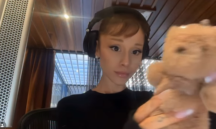 Ariana Grande deler ved en fejl billede, der viser hele hendes ene bryst