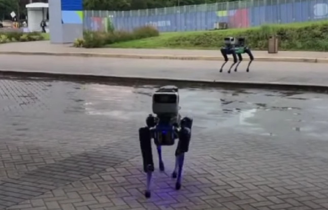 FIFA tager robot-hunde i brug til VM 2026: Lyder som noget fra Black Mirror